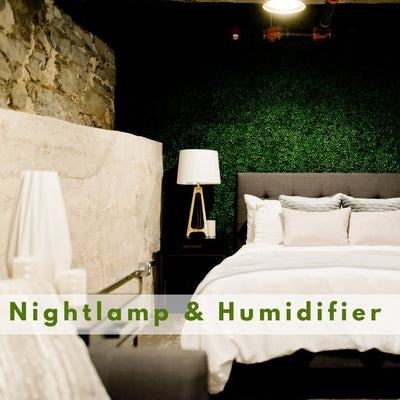 Nightlamp, Humidifier & Projectors
