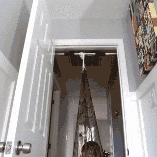 Sensory Swing